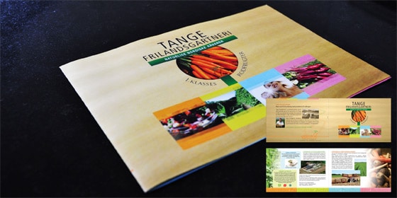 brochure-tangefrilands