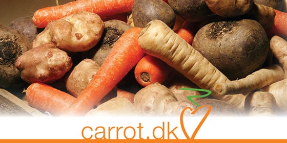 logo-carrot