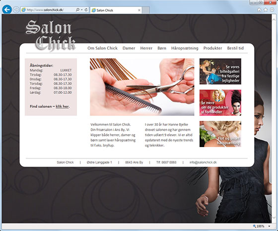 web-salonchick