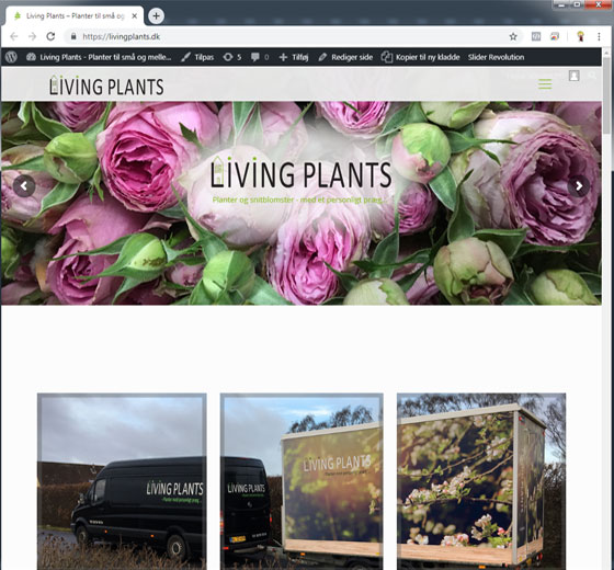 livingplants-case